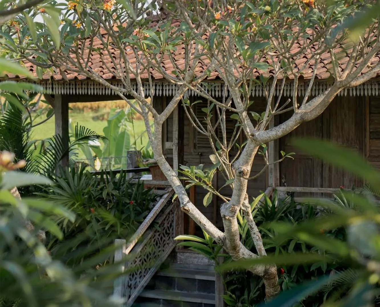 **** Resort Aswanaya Villas Ubud Indonésia